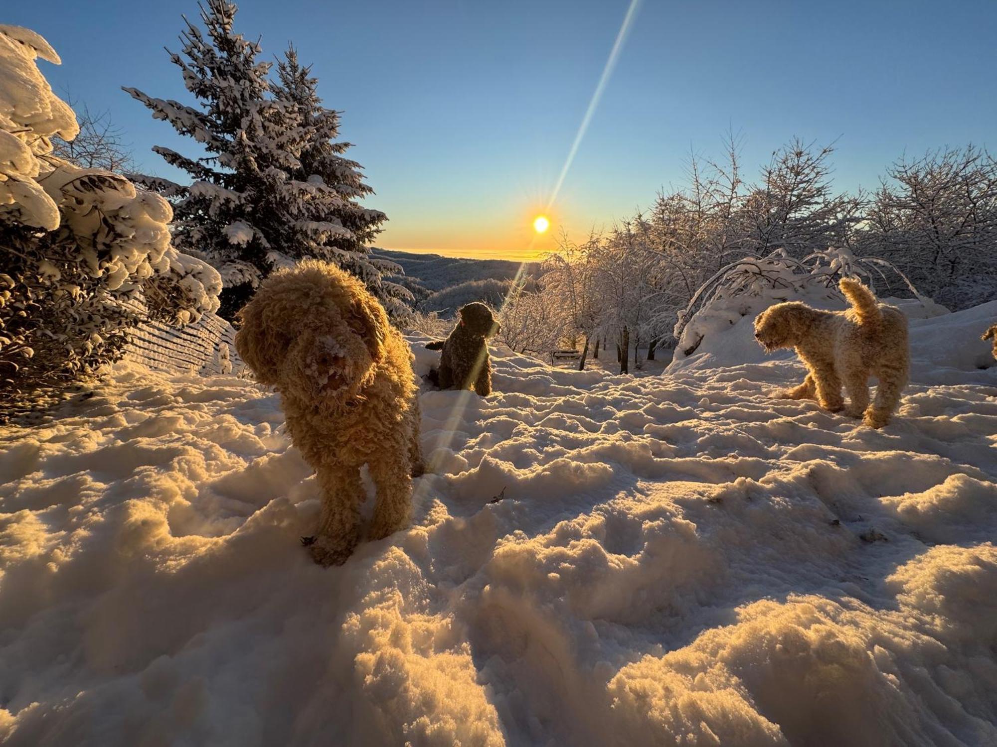 Guest House Lagotto'S Peak Radatovici Экстерьер фото