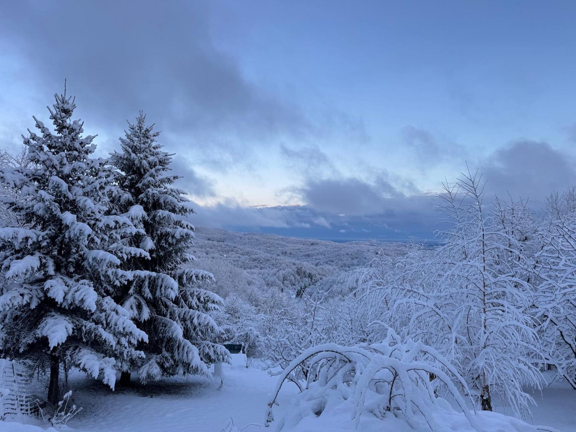 Guest House Lagotto'S Peak Radatovici Экстерьер фото